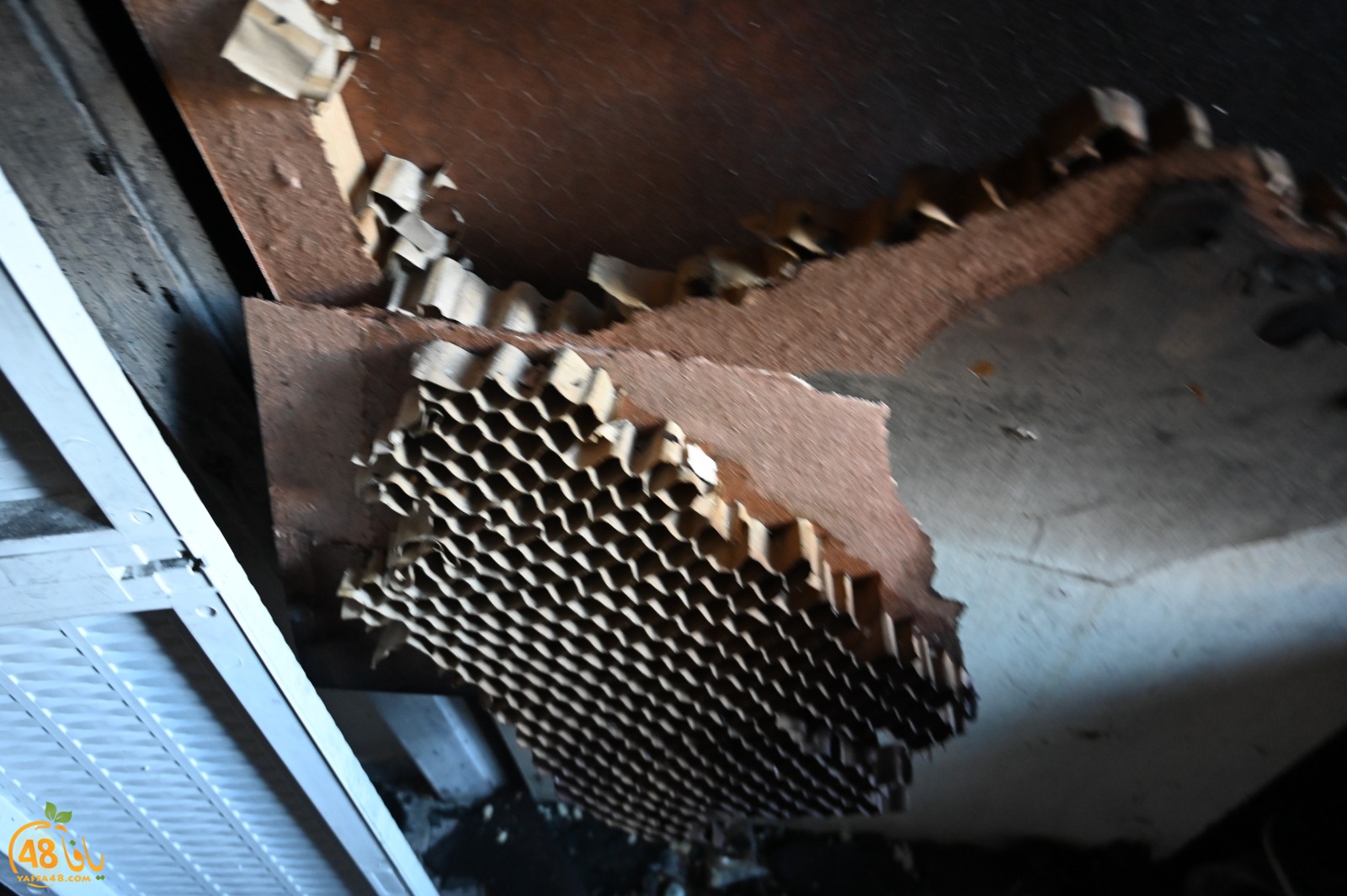 WhatsApp Image 2023-08-03 at 6.57.26 PM (2).jpeg